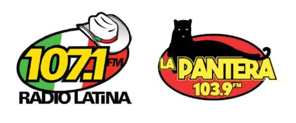 Wedj logo