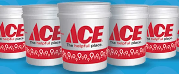 RW 07 07 26 ACE secondimage email