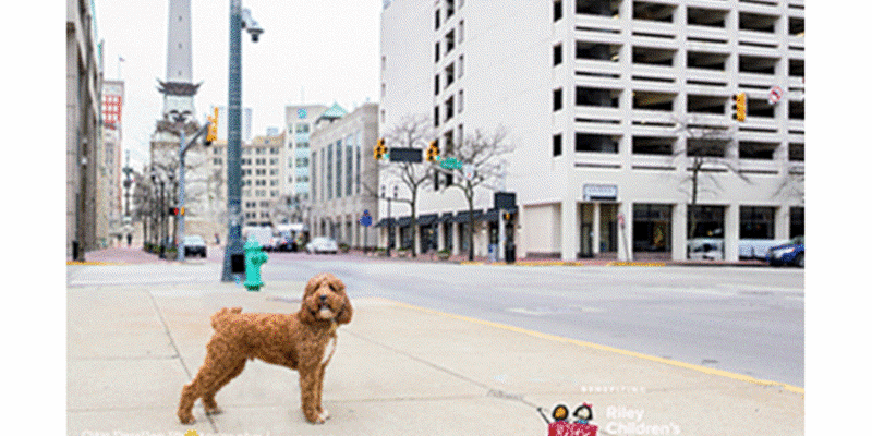 Slideshow Getsitecontrol